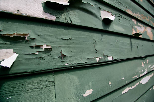 Best Retail Junk Removal  in Apalachicola, FL